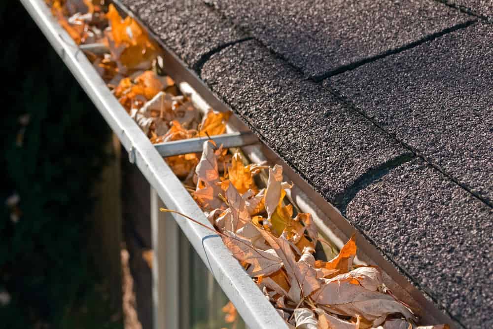 Gutter Cleaning image