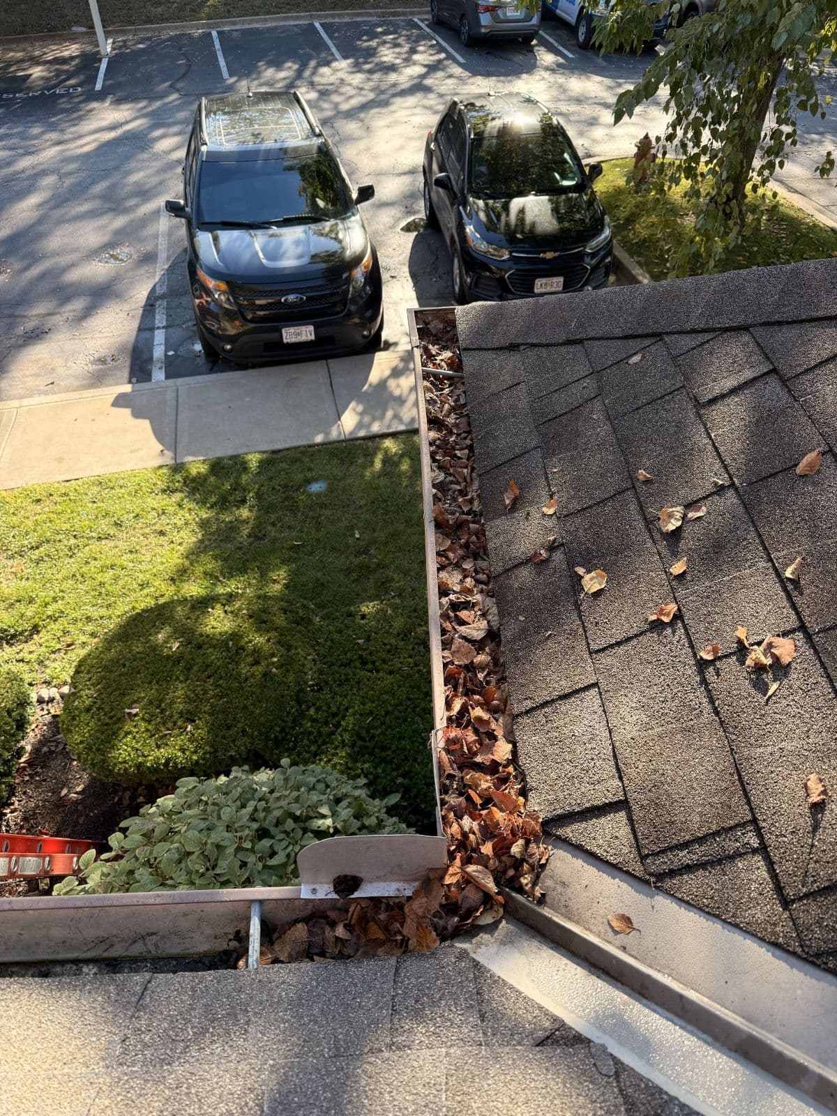 Project Why Your Gutters Are Overflowing and What to Do About It image