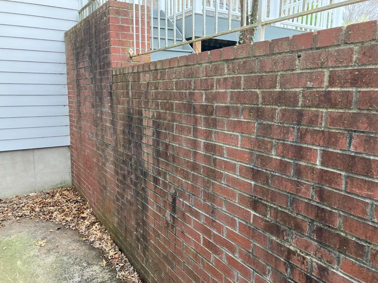 Project Grimy Brick Wall Gets a Complete Power Wash Turnaround image
