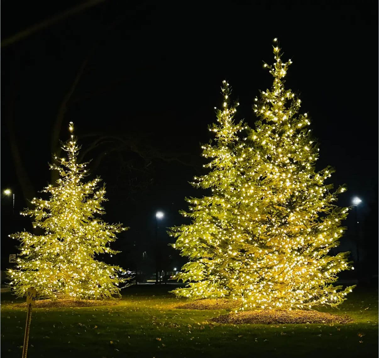 Gallery photos for Illuminate Your Home with Holiday Charm: Image #3