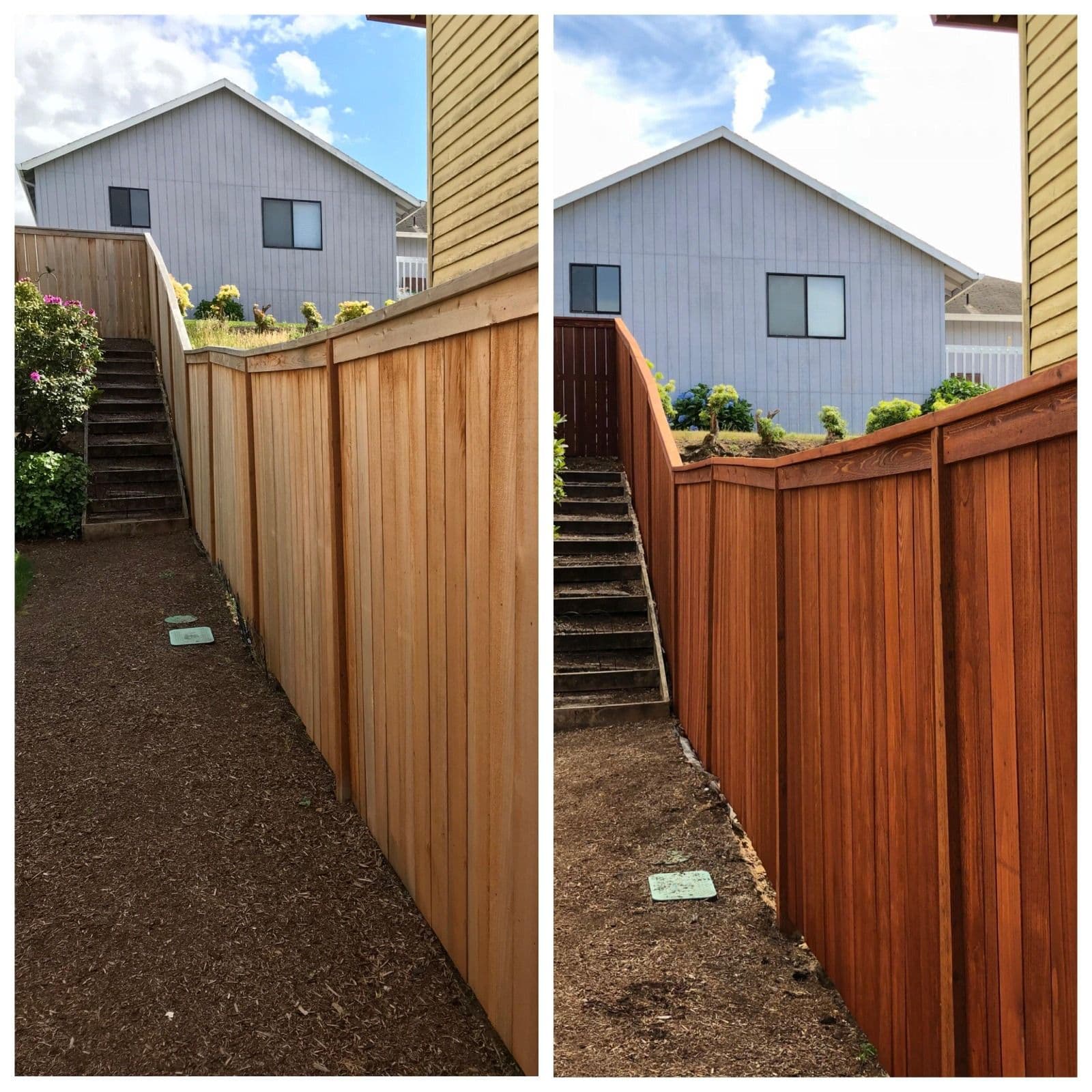 Project Fresh Stain on a Wood Fence That Needed Protection image