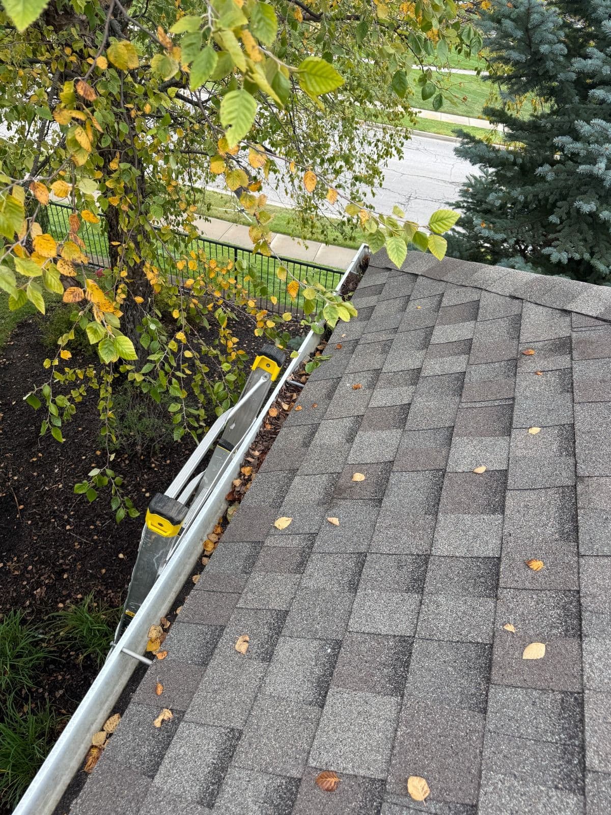 Why Clogged Gutters Are a Bigger Problem Than You Think image