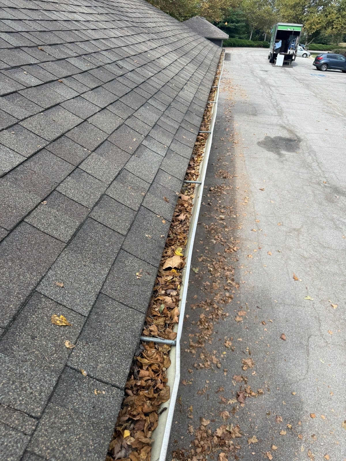 Don't Let Clogged Gutters Turn Into a Costly Headache image