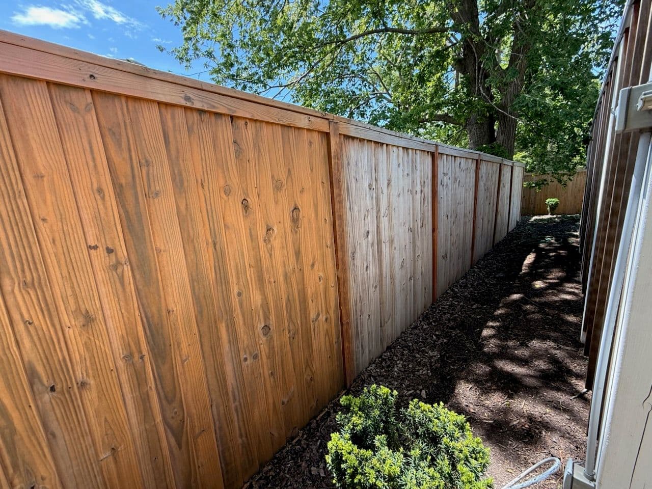 Cedar Tone Fence Transformation Project in Full Swing image