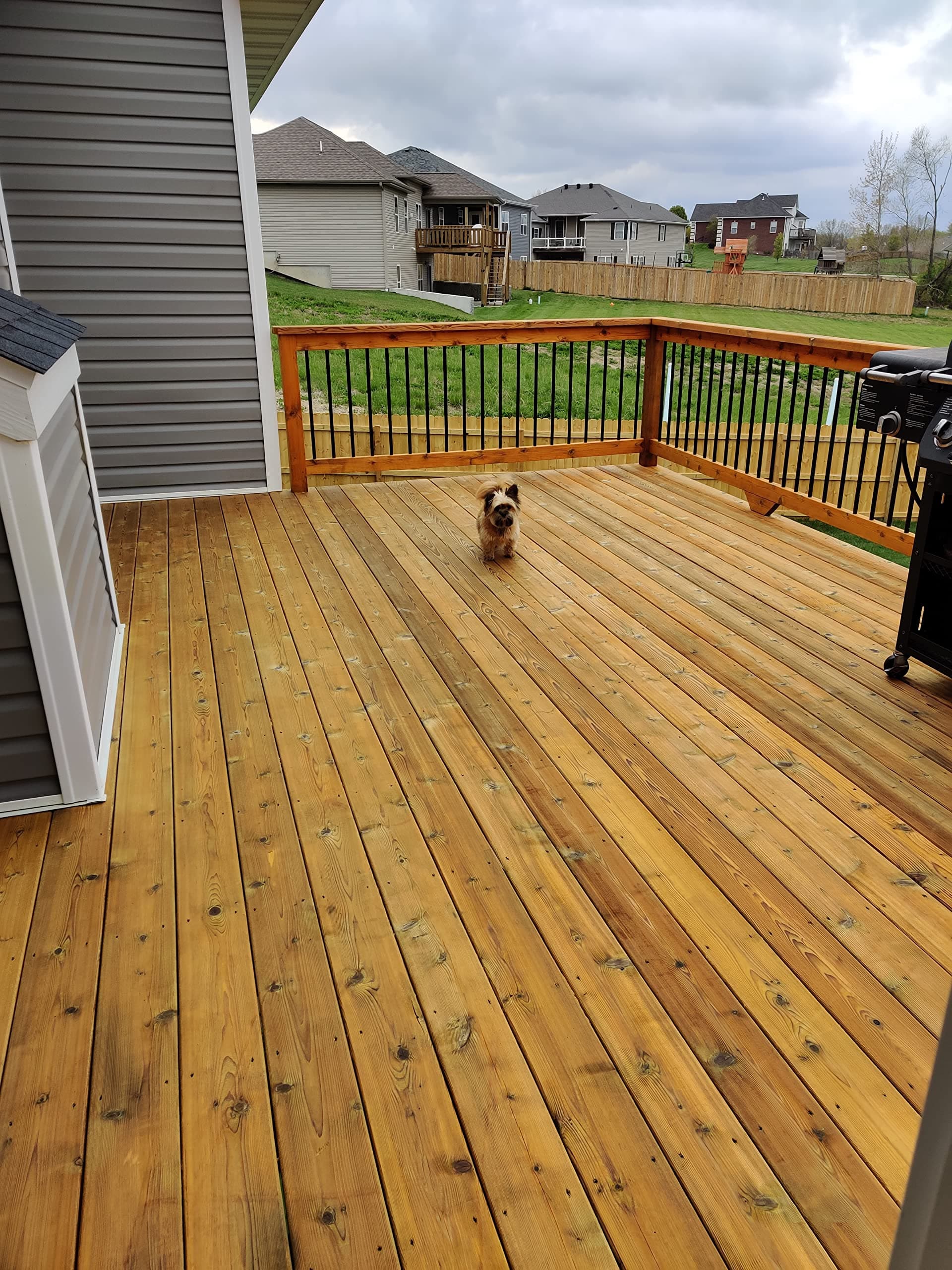 Beautiful Deck Staining in Overland Park image
