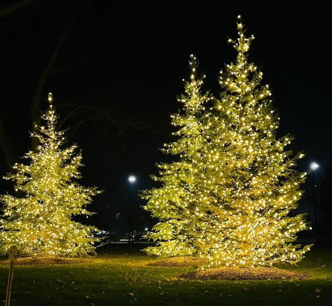 Enchanting Commercial Christmas Lighting in Overland Park image